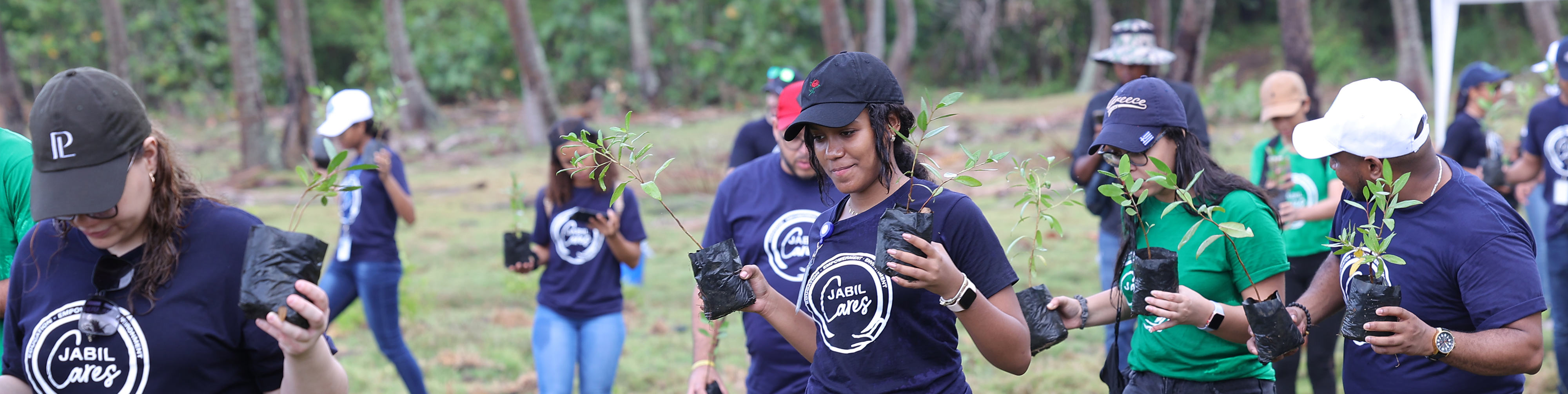 Group of volunteers in Jabil Cares shirts planting small trees outdoors